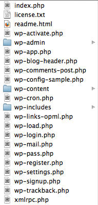 directory tree