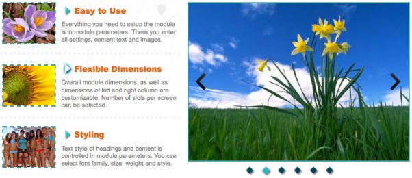 Joomla Rotating News - Hot Designation Image 1