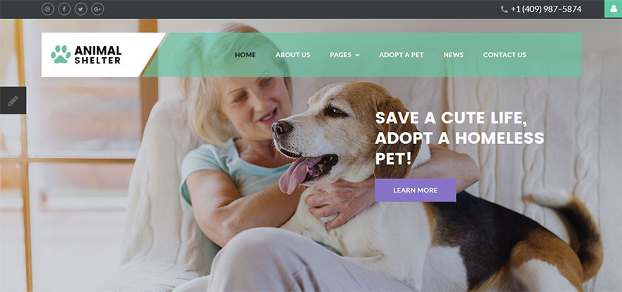 Animals & Pets Joomla Template