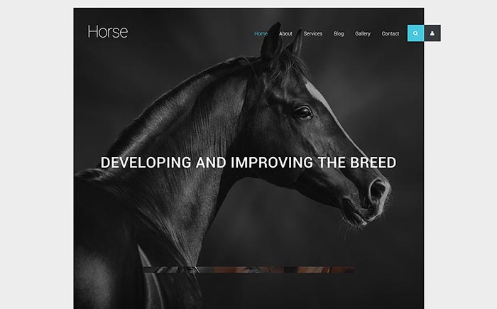 Stud-farm Joomla Template