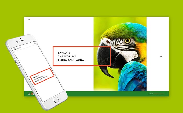 Zoo Responsive Joomla Template