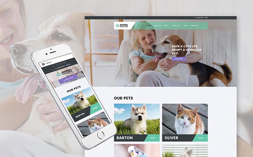 Animals Founding Home Joomla Template