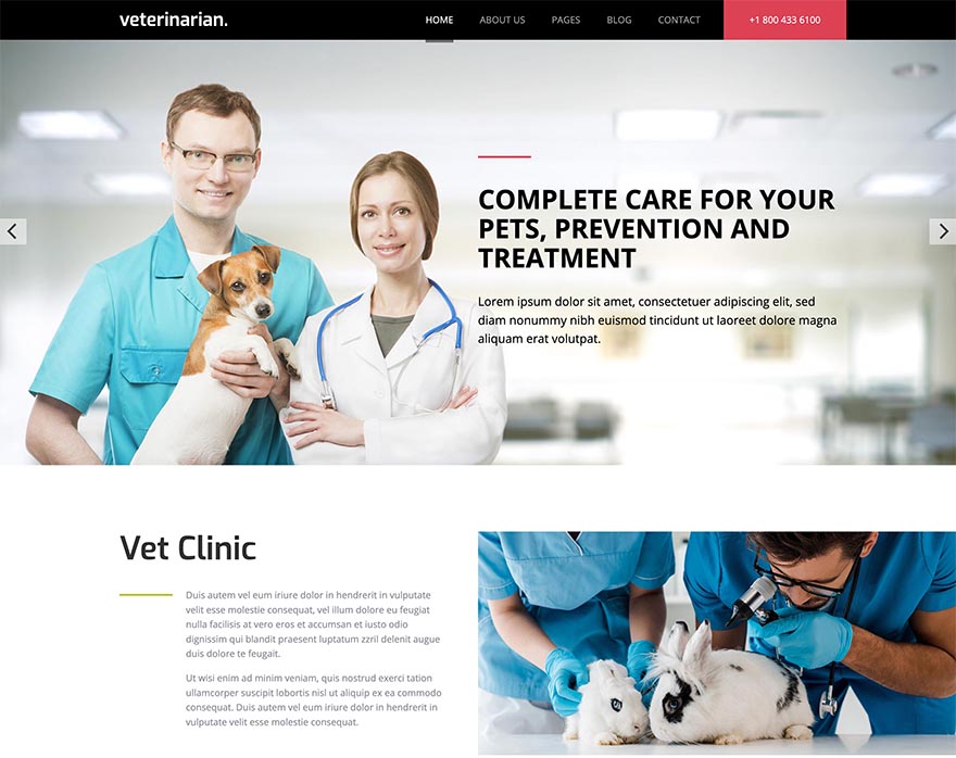 Veterinary Template
