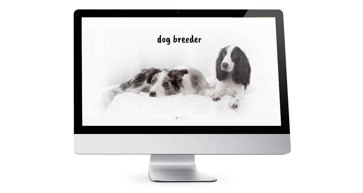 Image on desktop screen