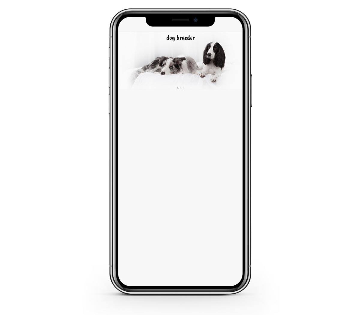 Image on phone screen - low height