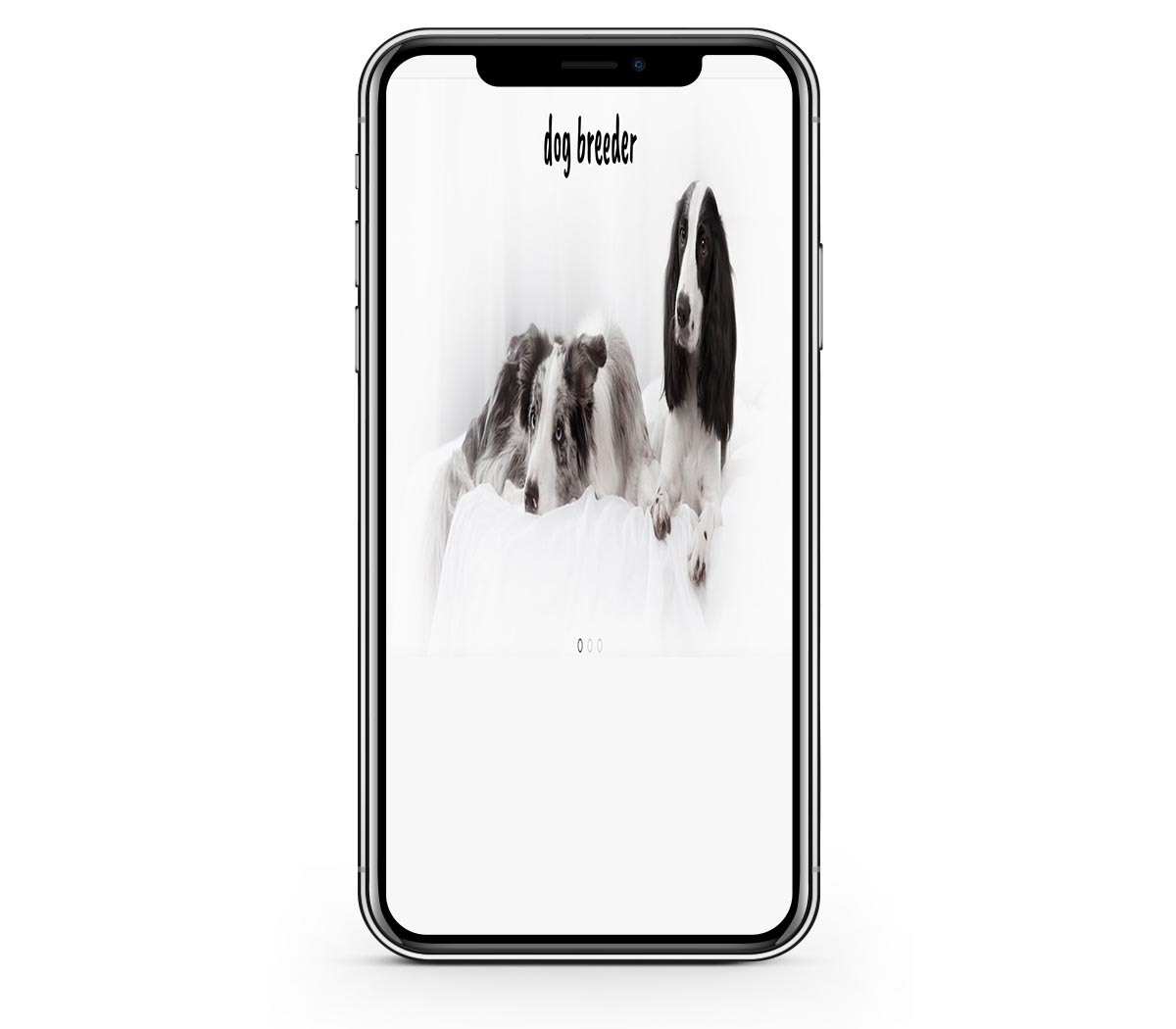 Image on phone screen - changed aspect ratio