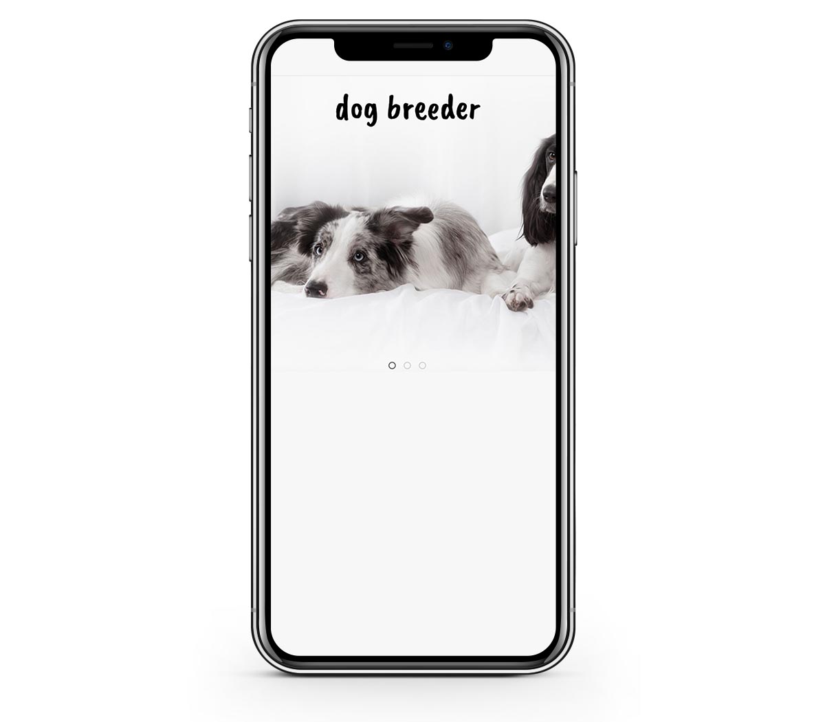 Image on phone screen - cropped image