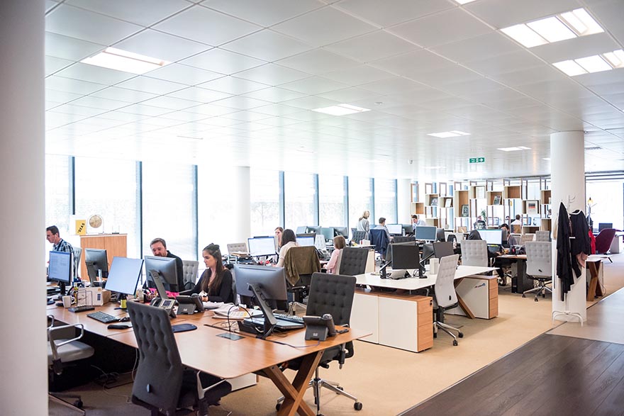 Comprehensive Tech Support for Startups