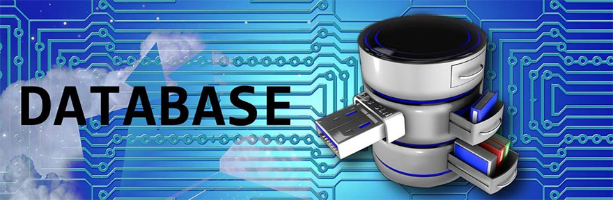 Backup Solutions