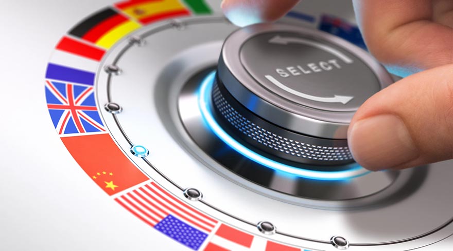 Translate Your Website