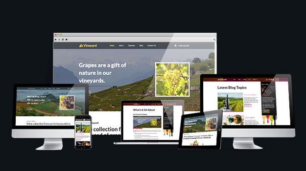 Vineyard template