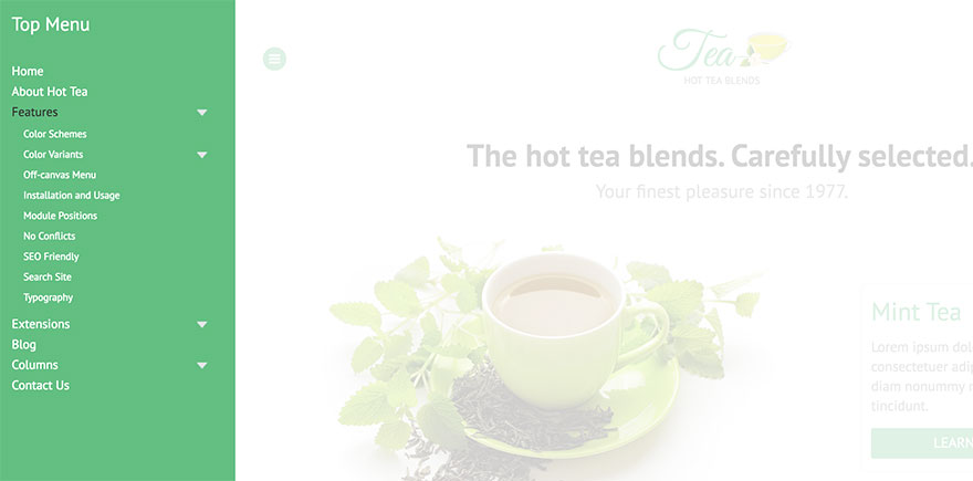 Off-canvas Menu Sample