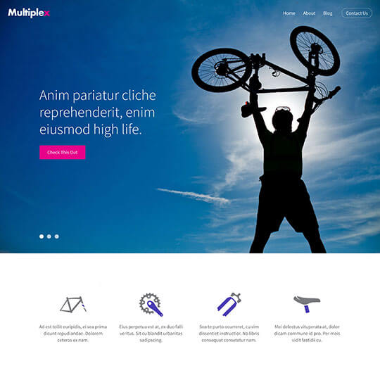 Multiplex Bike