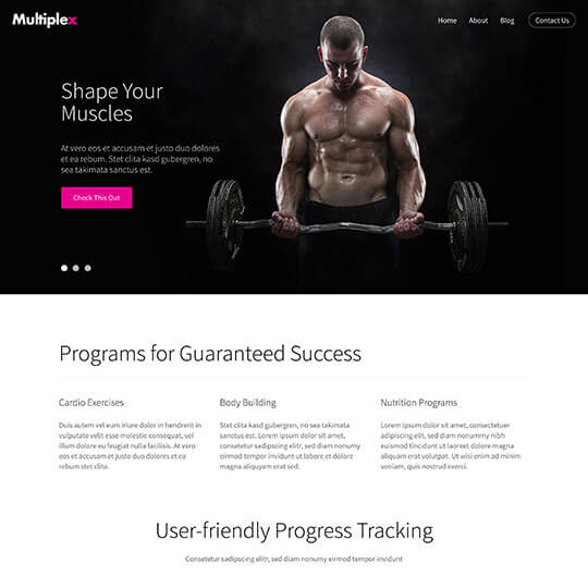 Multiplex Fitness