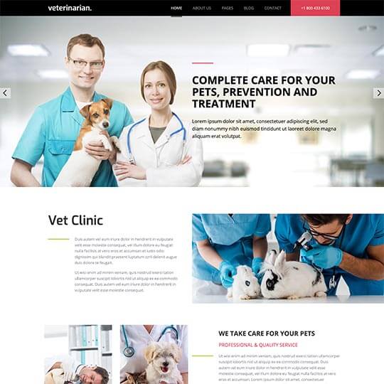 Veterinarian