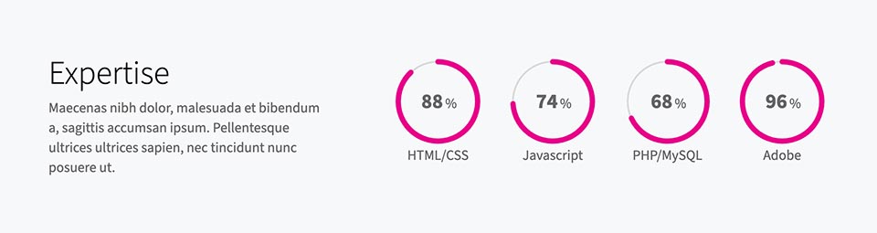 Counters WordPress block plugin