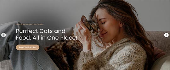 Carousel module is included with the Cats template