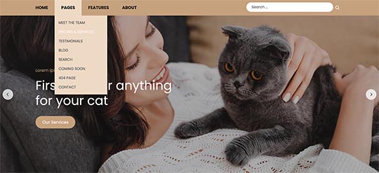 Drop-down menu in the Cats template