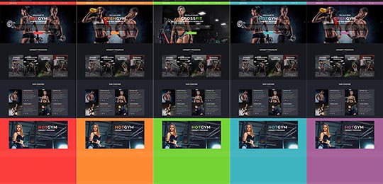 Accent colors of the Gym Joomla! template