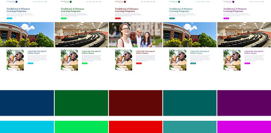 Color schemes of the Learning Joomla template