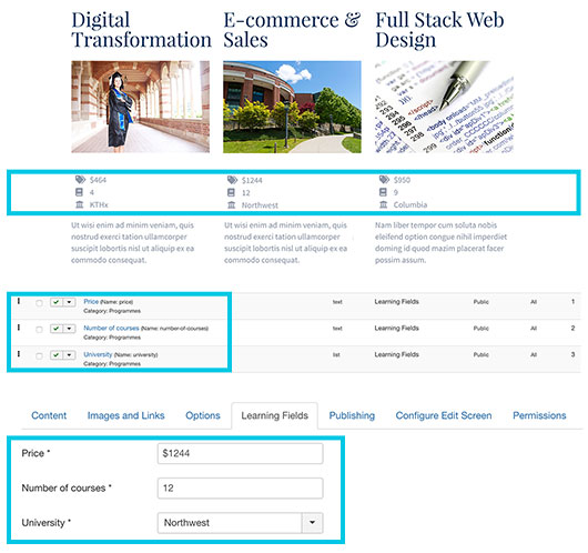 Custom fields in Learning Joomla template