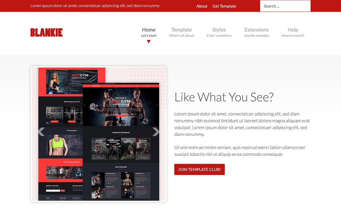 Clean Joomla Template