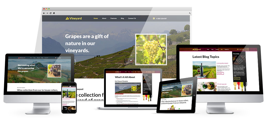 Responsive Vineyard Template