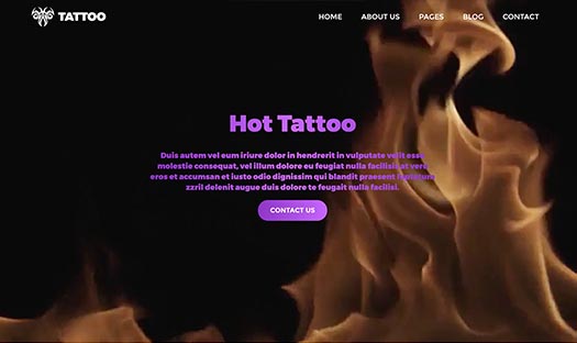 Video background home page