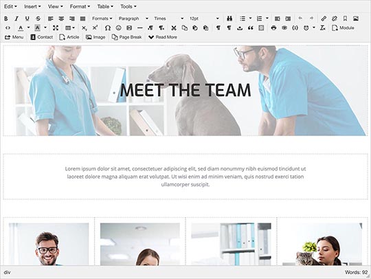 Edit content of Veterinary template visually