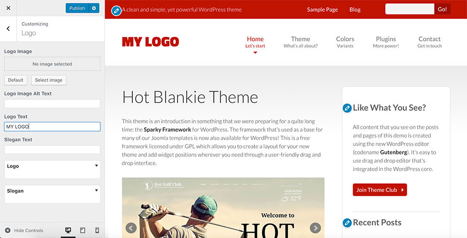 WordPress Customizer in Blankie theme