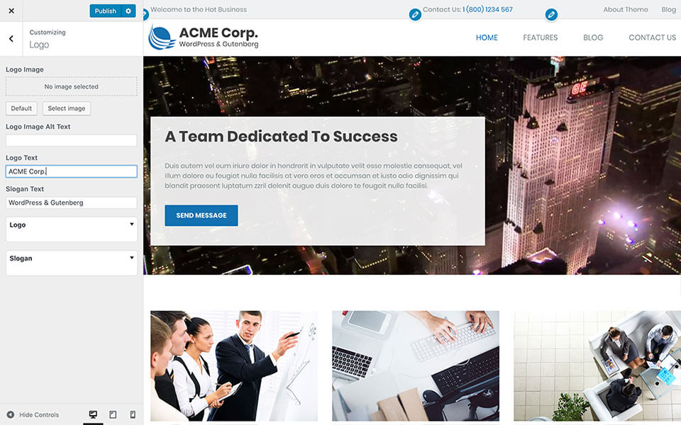 WordPress Customizer in Business theme