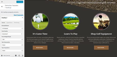 WordPress Customizer in Golf theme