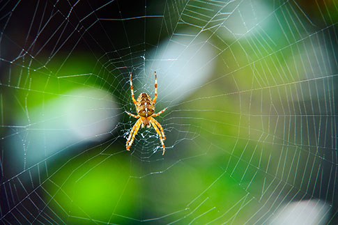 Googlebot Spider Cannot Access CSS and JS of Joomla Site