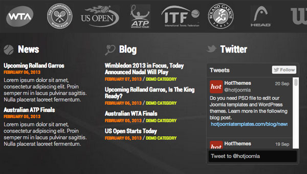 Sample of Twitter widget