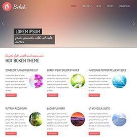 Bokeh Full Screen WordPress Theme