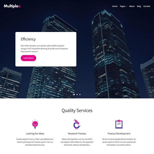 Multiplex WordPress